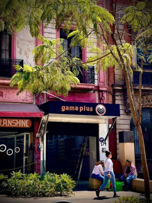 Gama Plus